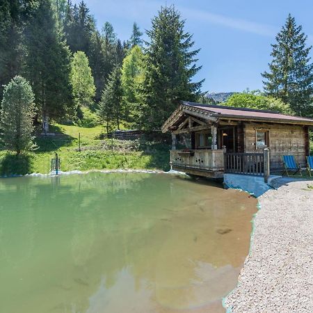 Almliesl Holl-559 Villa Hollersbach im Pinzgau Ngoại thất bức ảnh