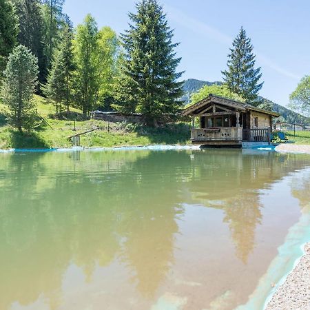 Almliesl Holl-559 Villa Hollersbach im Pinzgau Ngoại thất bức ảnh