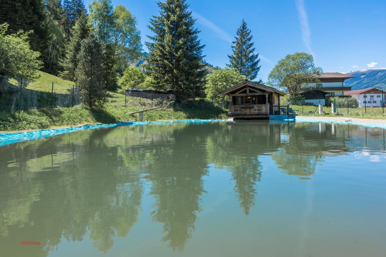 Almliesl Holl-559 Villa Hollersbach im Pinzgau Ngoại thất bức ảnh