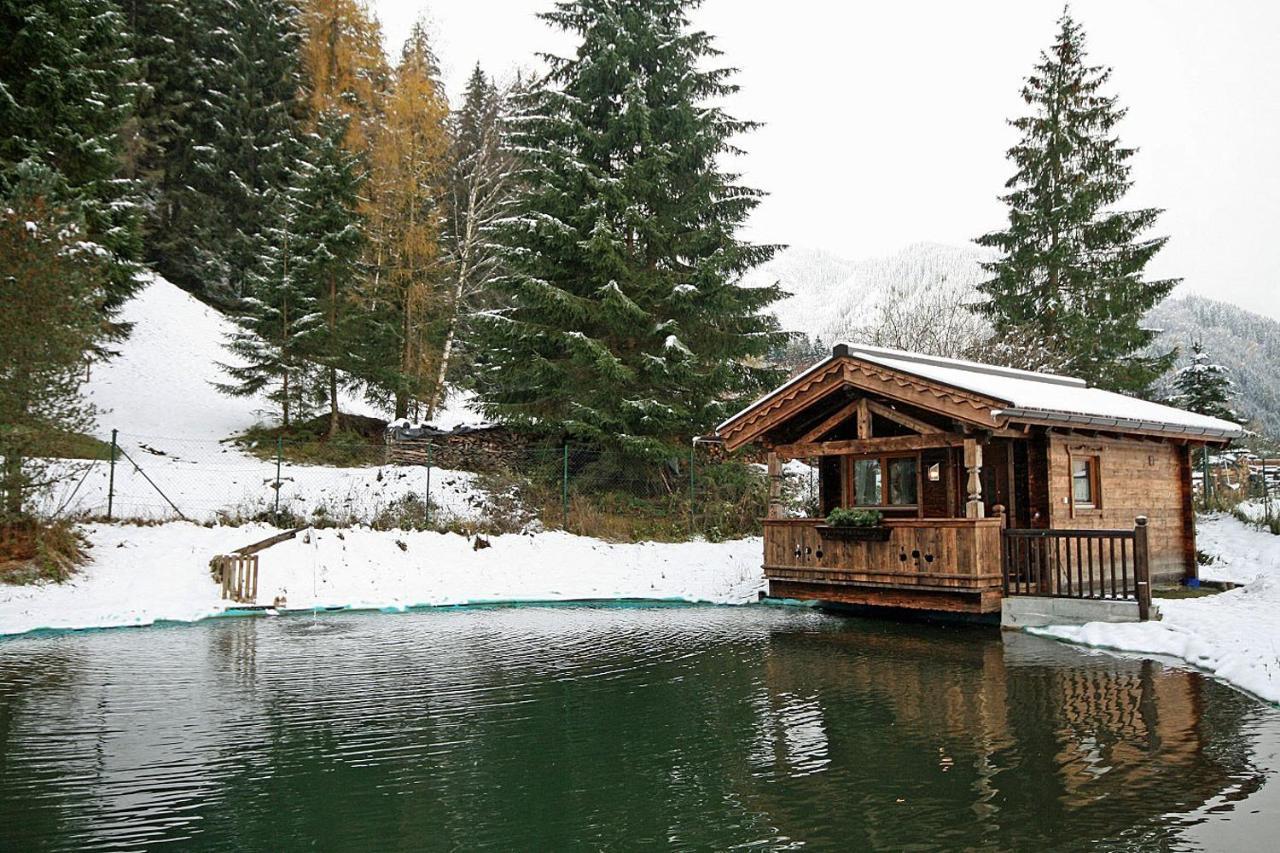 Almliesl Holl-559 Villa Hollersbach im Pinzgau Ngoại thất bức ảnh
